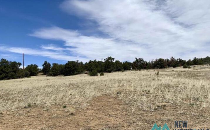 Pictures of Land property located at 18 Five Gates Road, Pinehill, NM 87357 for sales - image #1