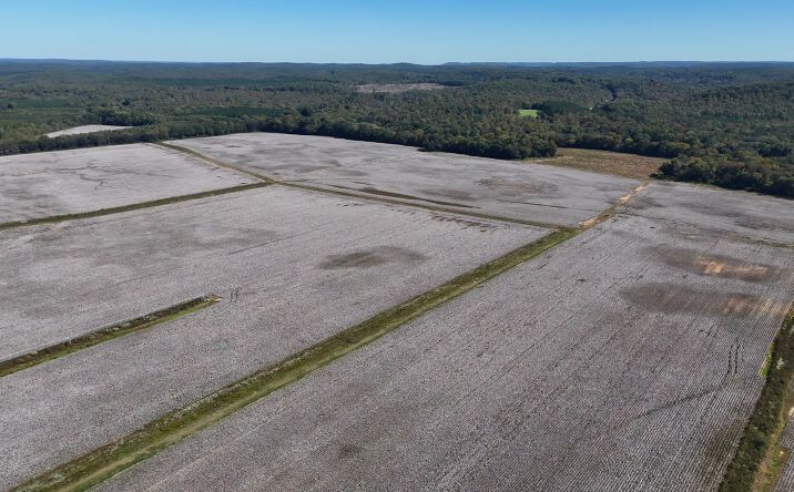 Pictures of Land property located at Allsboro Road, Tishomingo, MS 35616 for sales - image #1