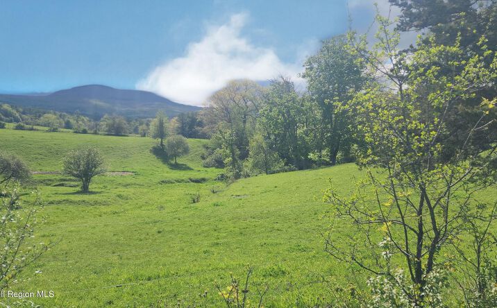 Pictures of Land property located at County Road 20, Durham, NY 12422 for sales - image #1