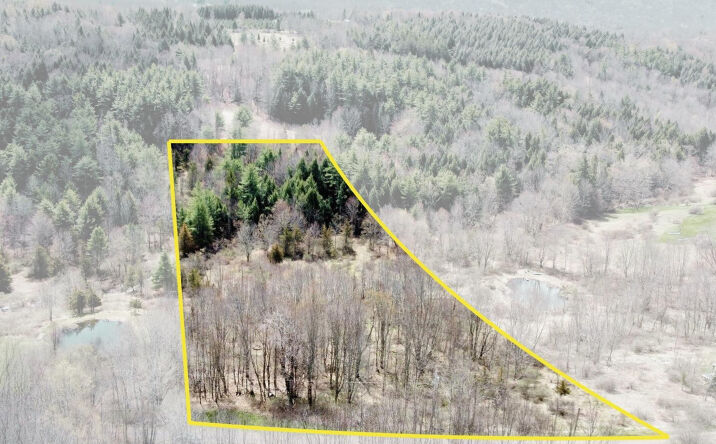 Pictures of Land property located at Charles Dent, Roxbury, NY 12434 for sales - image #1