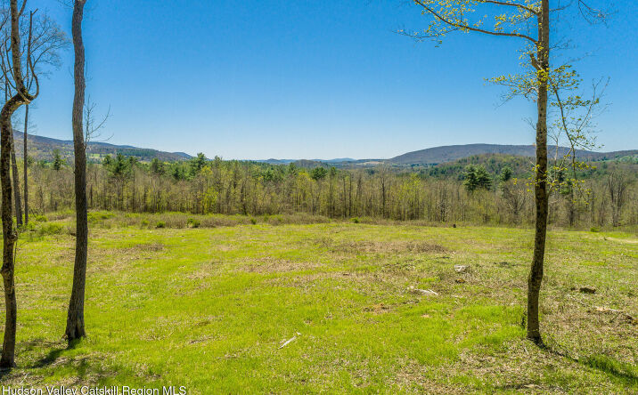Pictures of Land, Multifamily property located at Mitchell Street, Hillsdale, NY 12529 for sales - image #1