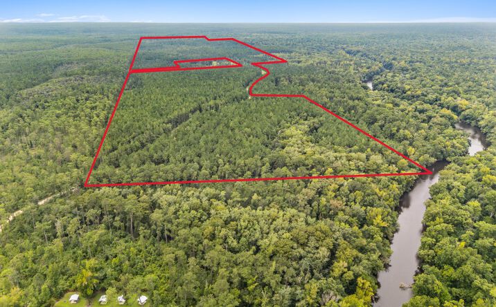Pictures of Land property located at 4009 SW M/M RC LN, Bristol, FL 32321 for sales - image #1