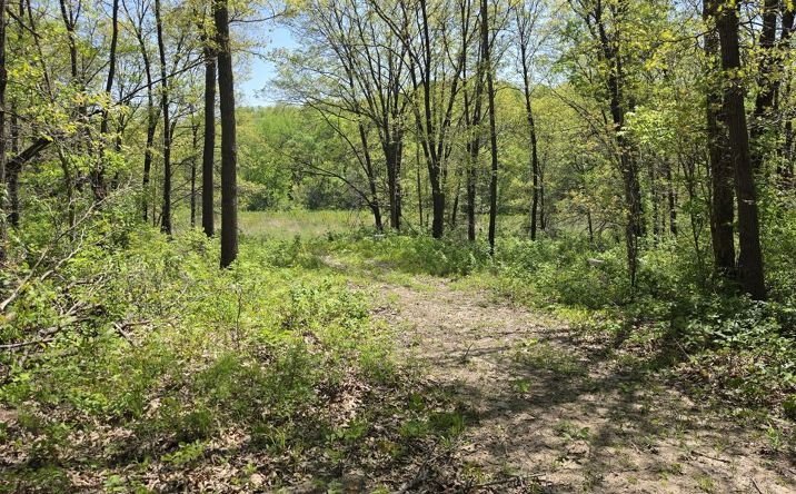 Pictures of Land property located at 0 Private Road, Unionville, MO 63565 for sales - image #1