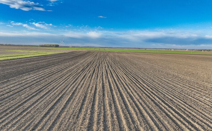 Pictures of Land property located at 300th Street, Graettinger, IA 51342 for sales - image #1