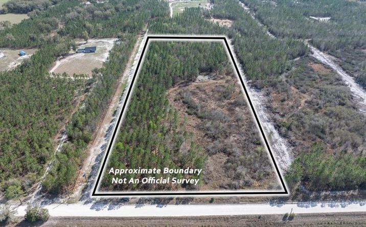Pictures of Land property located at 123 184th St, Wellborn, FL 32094 for sales - image #1