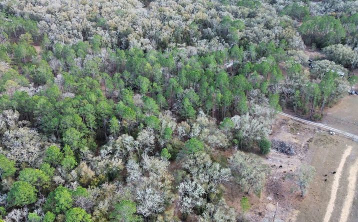 Pictures of Land property located at TBD NE 126th Street, Bronson, FL 32621 for sales - image #1