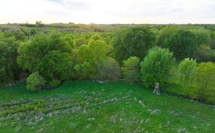 Pictures of Land property located at 105th St, Allerton, IA 50008 for sales - image #1