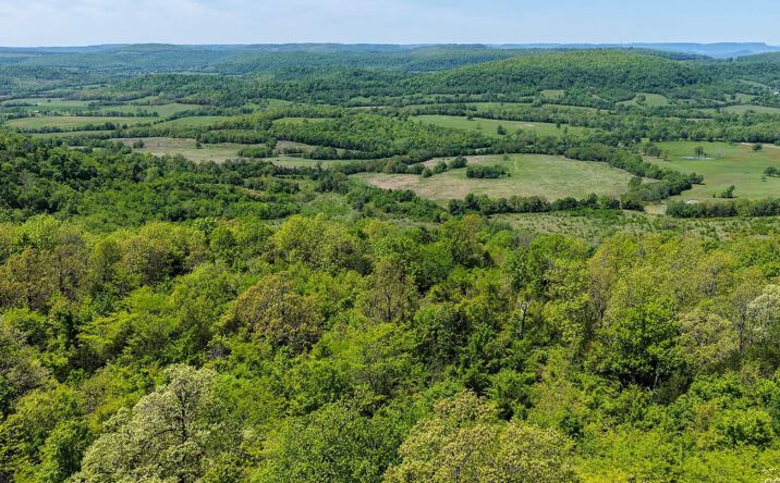 Pictures of Land property located at 319 Gooseberry Ln, Leslie, AR 72645 for sales - image #1