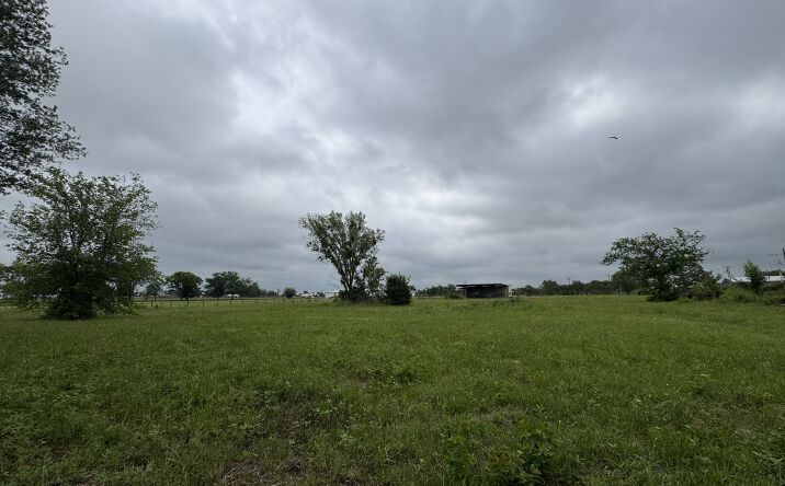 Pictures of Land property located at 3552 S State Highway 19, Emory, TX 75440 for sales - image #1