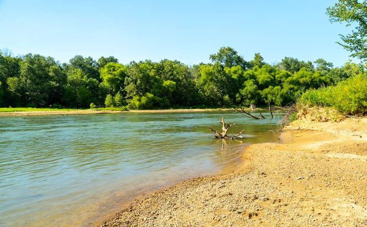 Pictures of Land property located at 0 County Rd. 532, Williamsville, MO 63967 for sales - image #1