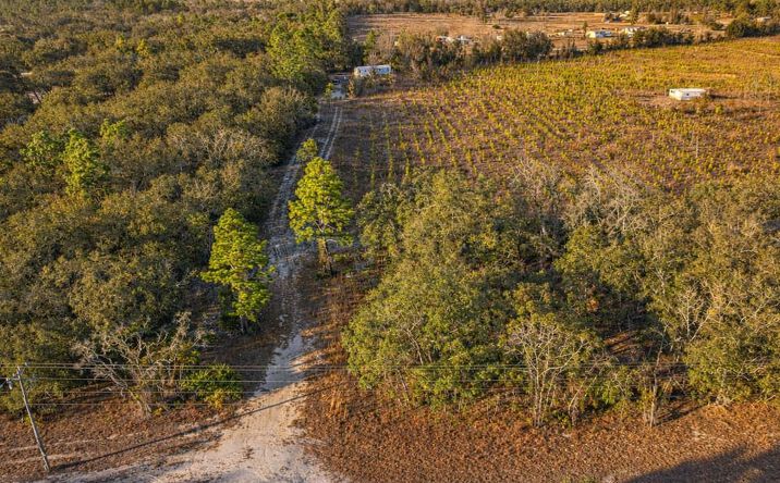 Pictures of Land property located at TBD NE 69th Lane, Bronson, FL 32621 for sales - image #1