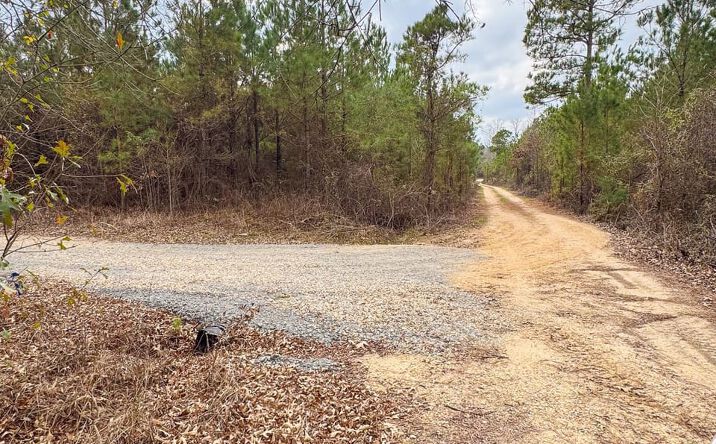 Pictures of Land property located at 00 Berlin Rd., Hamburg, AR 71646 for sales - image #1