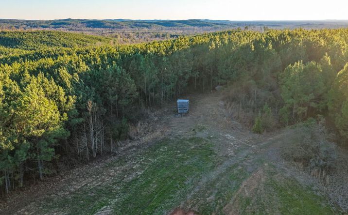 Pictures of Land property located at 00 Highway 82, Centreville, AL 35042 for sales - image #1