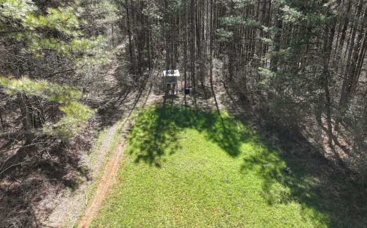 Pictures of Land property located at 00 Beech Grove Road, Townley, AL 35587 for sales - image #1