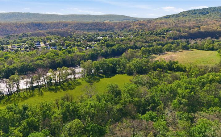 Pictures of Mixed Use, Land property located at 27406 Sulphur Springs Road Southeast, Oldtown, MD 21555 for sales - image #1