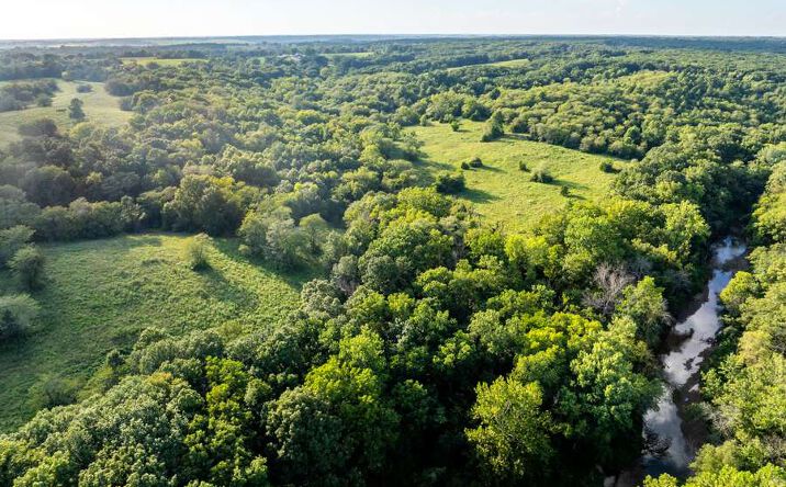 Pictures of Land property located at 000 Hwy 5, Milan, MO 63556 for sales - image #1