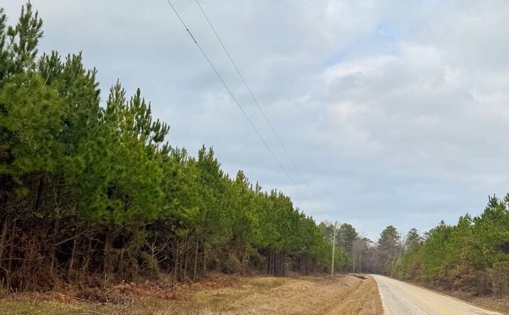 Pictures of Land property located at 00 Berlin Rd., Hamburg, AR 71646 for sales - image #1
