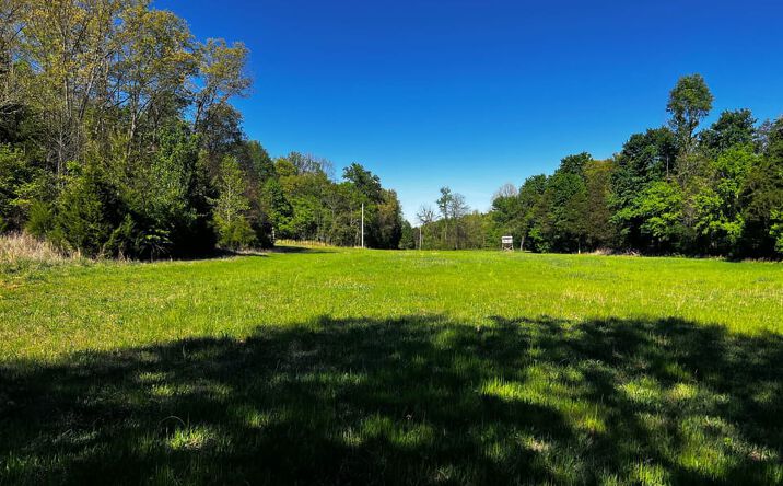 Pictures of Land property located at 1000 N Dawson Hollow Rd, Bonnieville, KY 42713 for sales - image #1