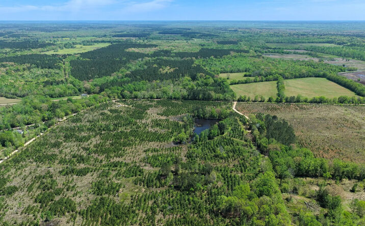Pictures of Land property located at 00 Hempstead 341, Ozan, AR 71855 for sales - image #1