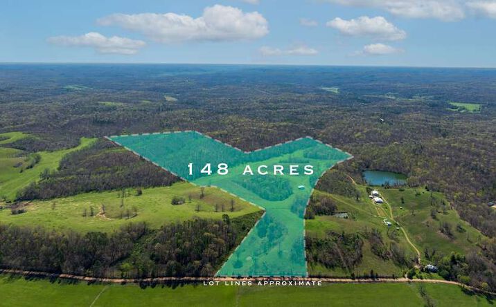 Pictures of Land property located at 0 County Road 584, Piedmont, MO 63957 for sales - image #1