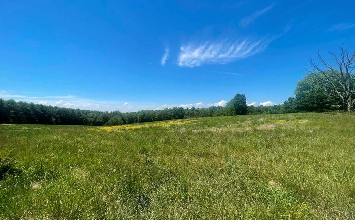 TBD Bellspur Road, Laurel Fork