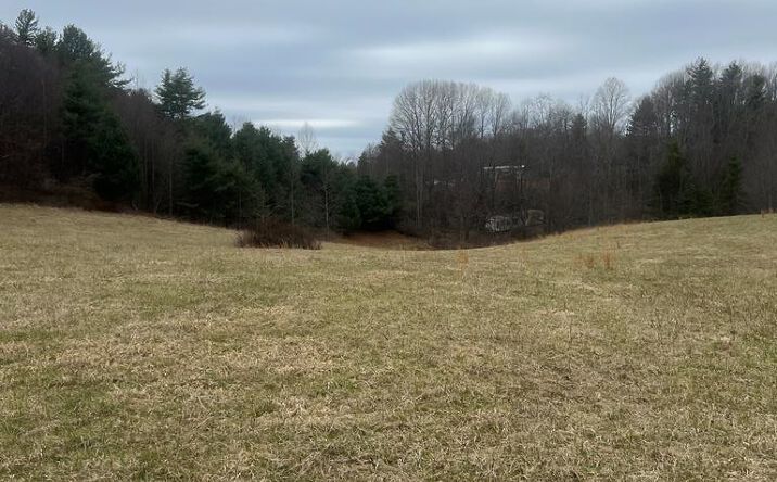 Pictures of Land, Multifamily property located at 299 Red Ford Rd, Meadows of Dan, VA 24120 for sales - image #1