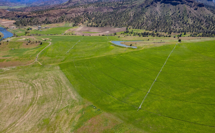 Pictures of Land property located at 40252 Rudio Rd, Kimberly, OR 97848 for sales - image #1