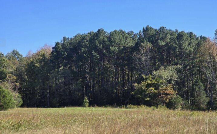 Pictures of Land property located at Blackman Ln and Hwy 86 N, hillsborough, NC 27278 for sales - image #1