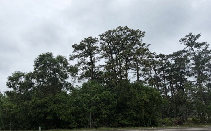 Pictures of Land property located at 0 FM 1485 Rd, New Caney, TX 77357 for sales - image #1