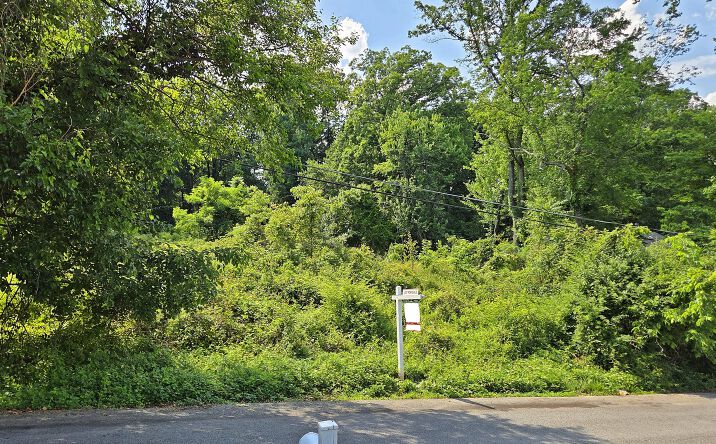 3412 ARNOLD LN, FALLS CHURCH