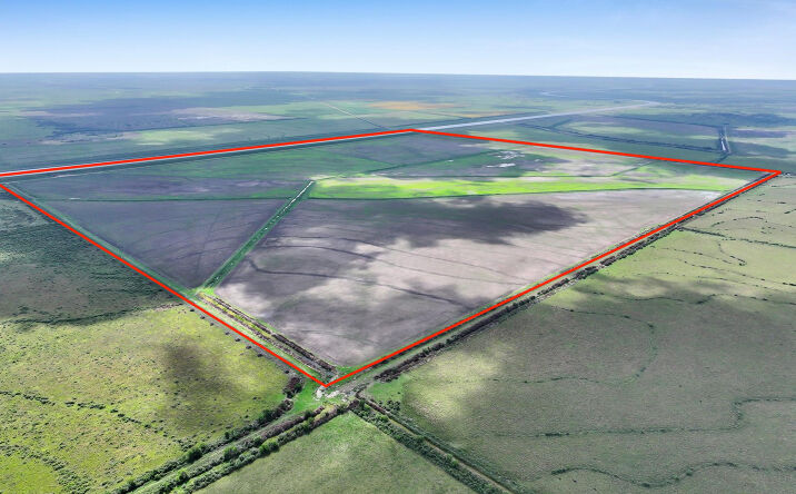 Pictures of Land property located at TBD Needmore Rd, Beaumont, TX 77705 for sales - image #1