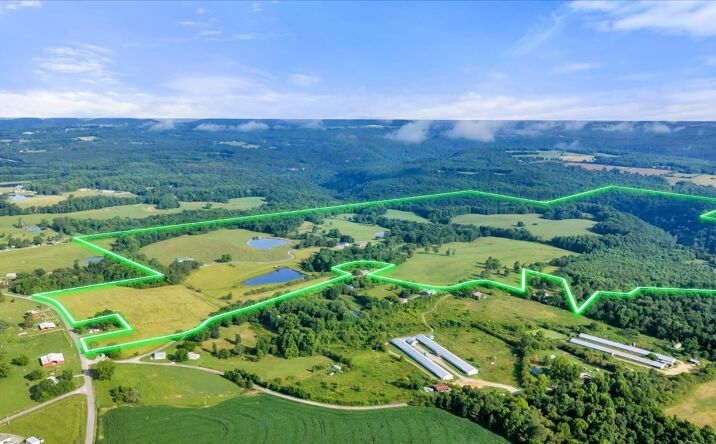 Pictures of Mixed Use, Land, Special Purpose property located at 191 County Road 368, Albertville, AL 35951 for sales - image #1