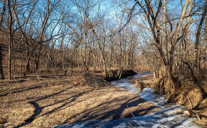 Pictures of Land property located at 0000 Route, Milan, MO 63556 for sales - image #1