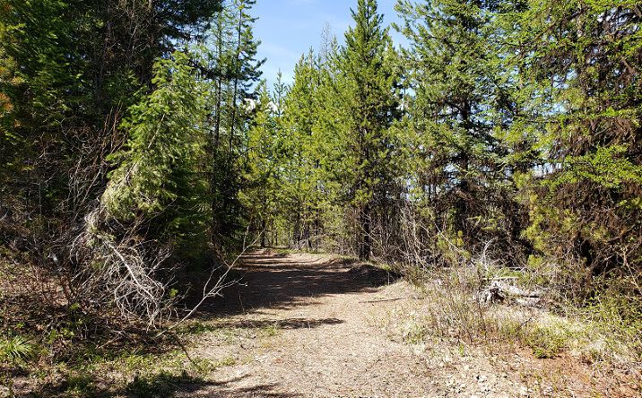 Pictures of Land property located at Tract 10 Ida Lode Nine Mile Road, HUSON, MT 59846 for sales - image #1