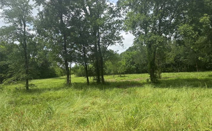 Pictures of Land property located at Buffalo Crossing, Durant, OK 74701 for sales - image #1