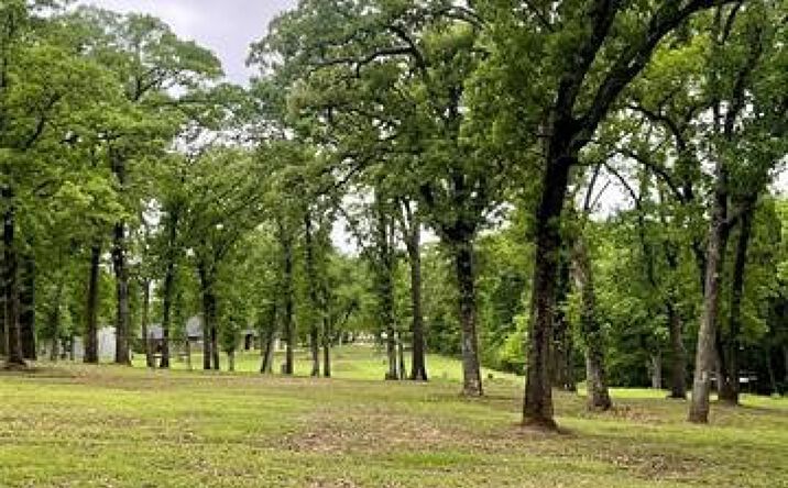 Pictures of Land property located at 9 Homestead, Kingston, OK 73439 for sales - image #1