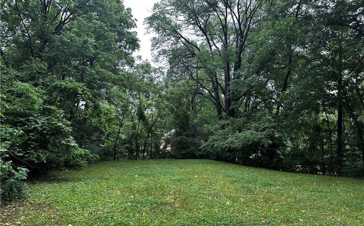 Pictures of Land, Multifamily property located at 1103 E Pacific Avenue, Independence, MO 64050 for sales - image #1