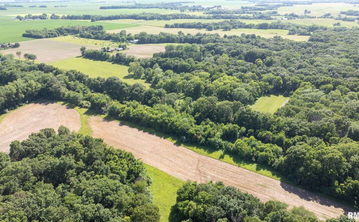 Pictures of Land, Special Purpose property located at 8543 Frey Road, Pleasant Plains, IL 62677 for sales - image #1