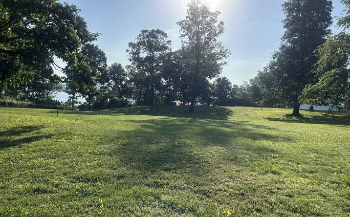 Pictures of Land property located at 602 S Raum Park Drive, Golconda, IL 62938 for sales - image #1