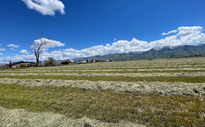 Pictures of Land property located at 750 N Main, Lewiston, UT 84320 for sales - image #1