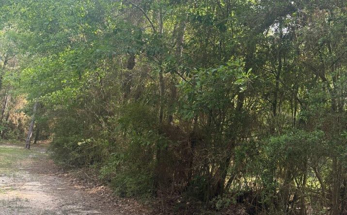 Pictures of Land property located at 0 16th Section Road, Pass Christian, MS 39571 for sales - image #1