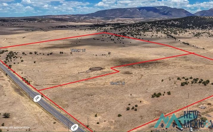 Pictures of Land property located at N 246, Capitan, NM 88316 for sales - image #1