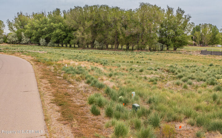 Pictures of Land property located at 5933 VISTA DEL RIO Court, Farmington, NM 87402 for sales - image #1