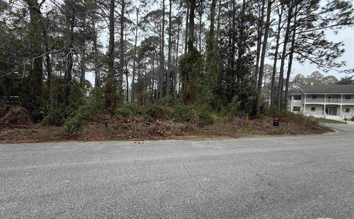 Pictures of Land property located at 224 Professional Court, Gulf Shores, AL 36542 for sales - image #1