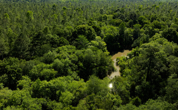 Pictures of Land property located at 00 Robinson Rd, Baconton, GA 31716 for sales - image #1