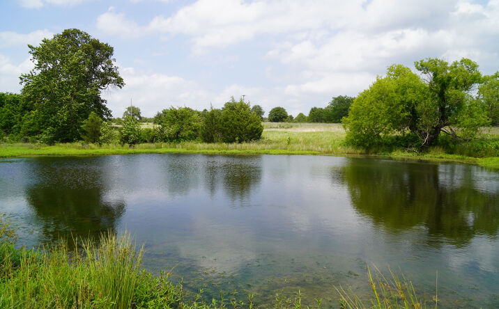 Pictures of Land property located at 44956 West 151st Street South, Bristow, OK 74010 for sales - image #1