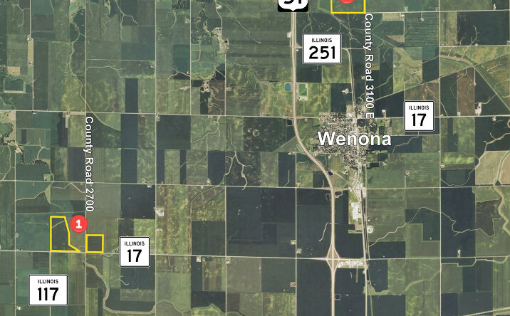 Pictures of Land property located at Route 17, Wenona, IL 61377 for sales - image #1