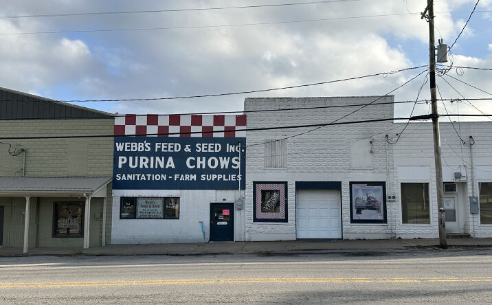 Pictures of Retail, Industrial property located at 209-215 East Pickens Road, Pea Ridge, AR 72751 for sales - image #1