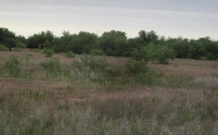 Pictures of Land property located at East Half and NW/4 Sectio W and NW RR Survey, Childress, TX 79201 for sales - image #1