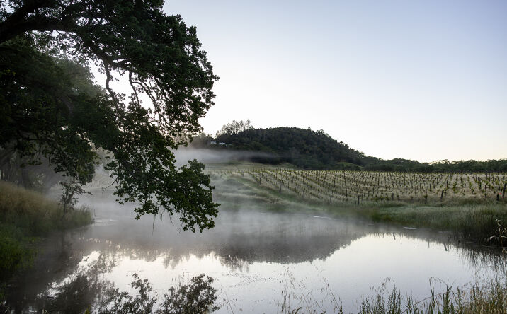 Pictures of Hospitality, Land property located at 13410 Chalk Hill Road, Healdsburg, CA 95448, 13414 Chalk Hill Road, Healdsburg, CA 95448 for sales - image #1